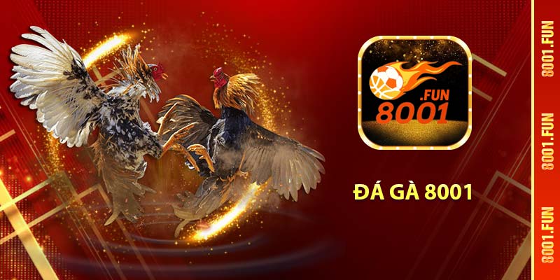 Đá gà 8001